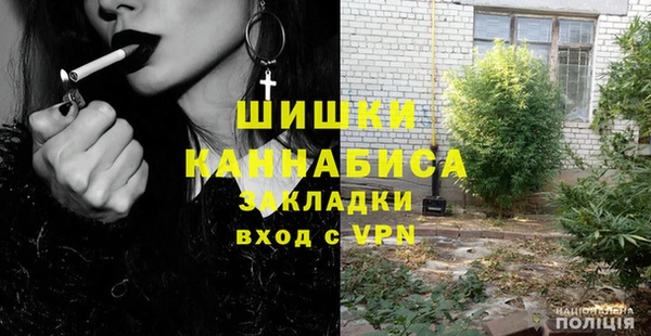 PSILOCYBIN Богородск
