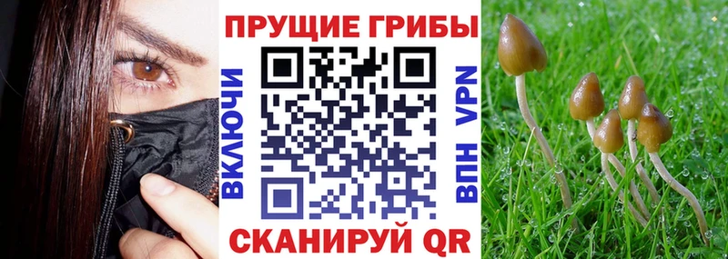 Галлюциногенные грибы прущие грибы Кушва
